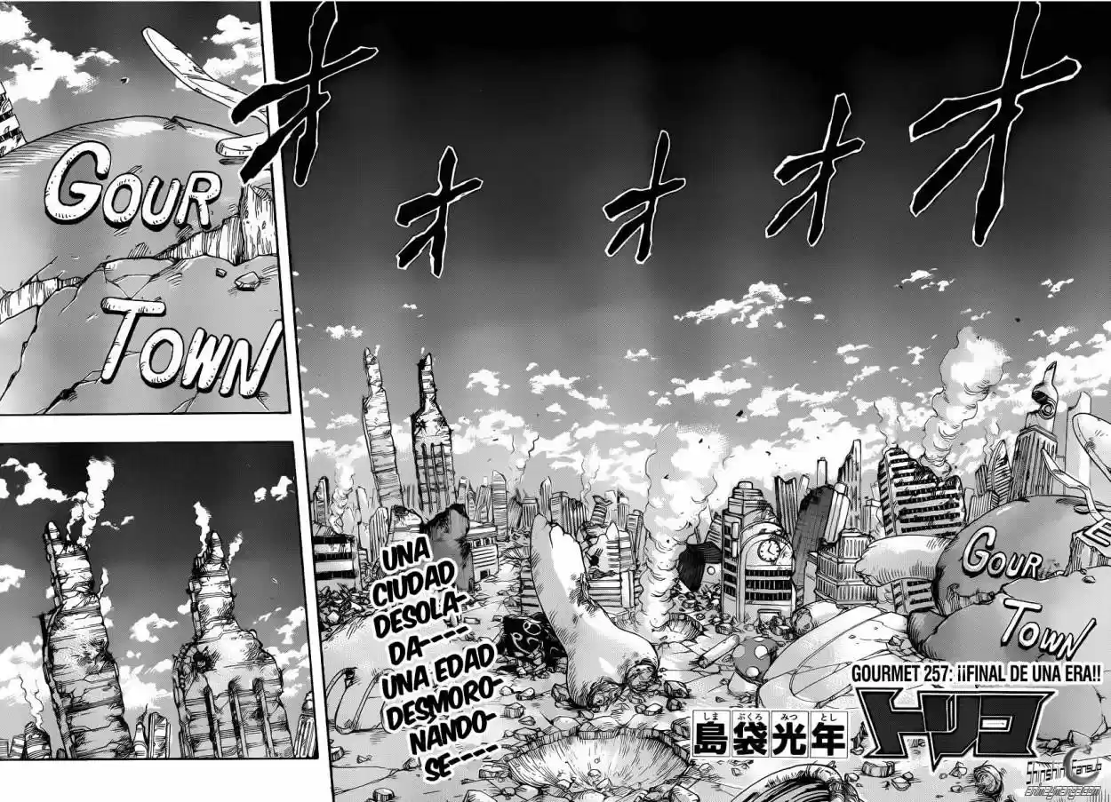 Toriko (2008) - Capítulo 257 - Página 9 - LectorTMOo