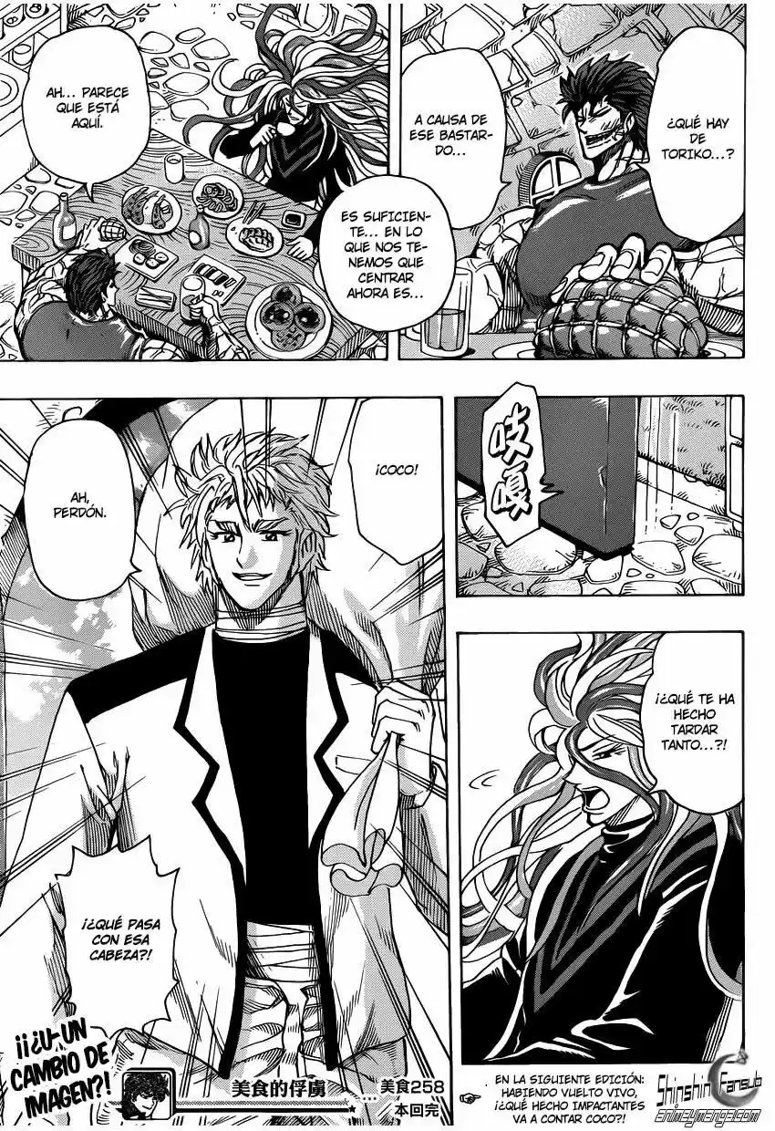 Toriko (2008) - Capítulo 258 - Página 17 - LectorTMOo