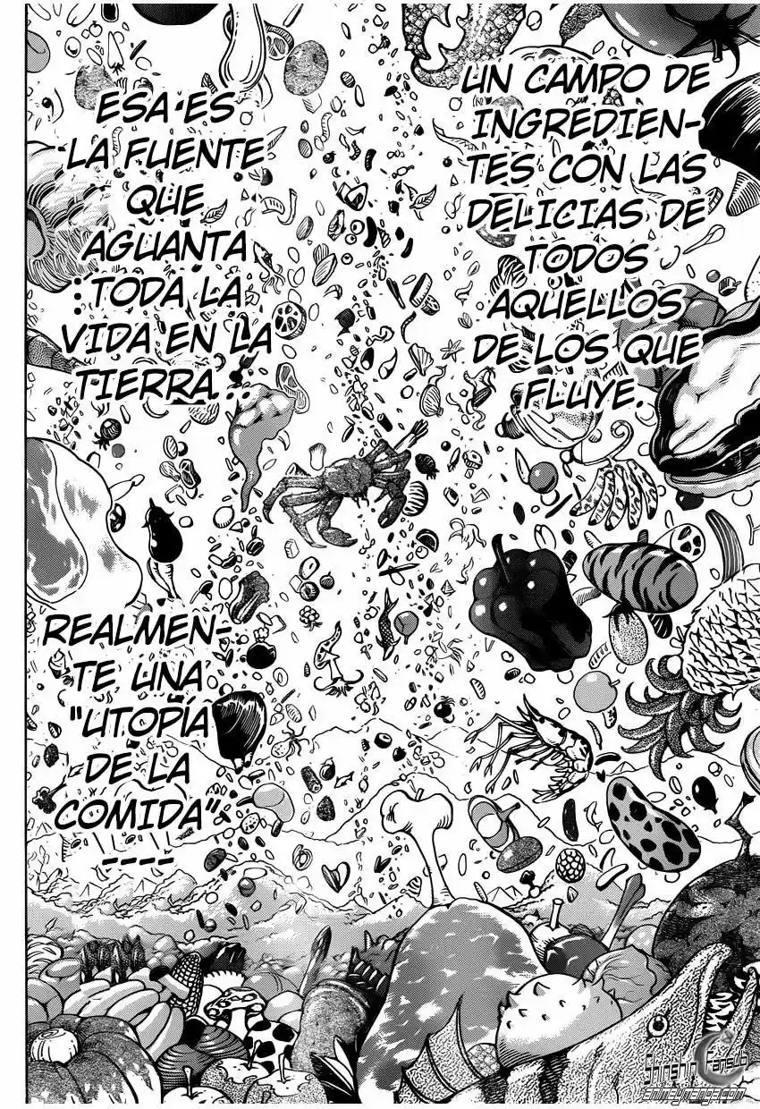 Toriko (2008) - Capítulo 259 - Página 13 - LectorTMOo