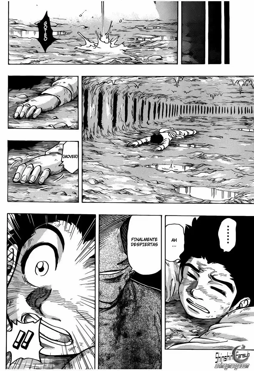 Toriko (2008) - Capítulo 260 - Página 17 - LectorTMOo
