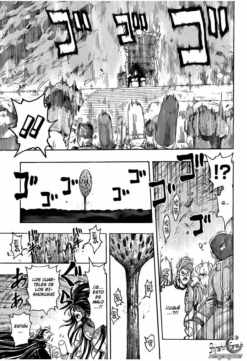 Toriko (2008) - Capítulo 262 - Página 14 - LectorTMOo