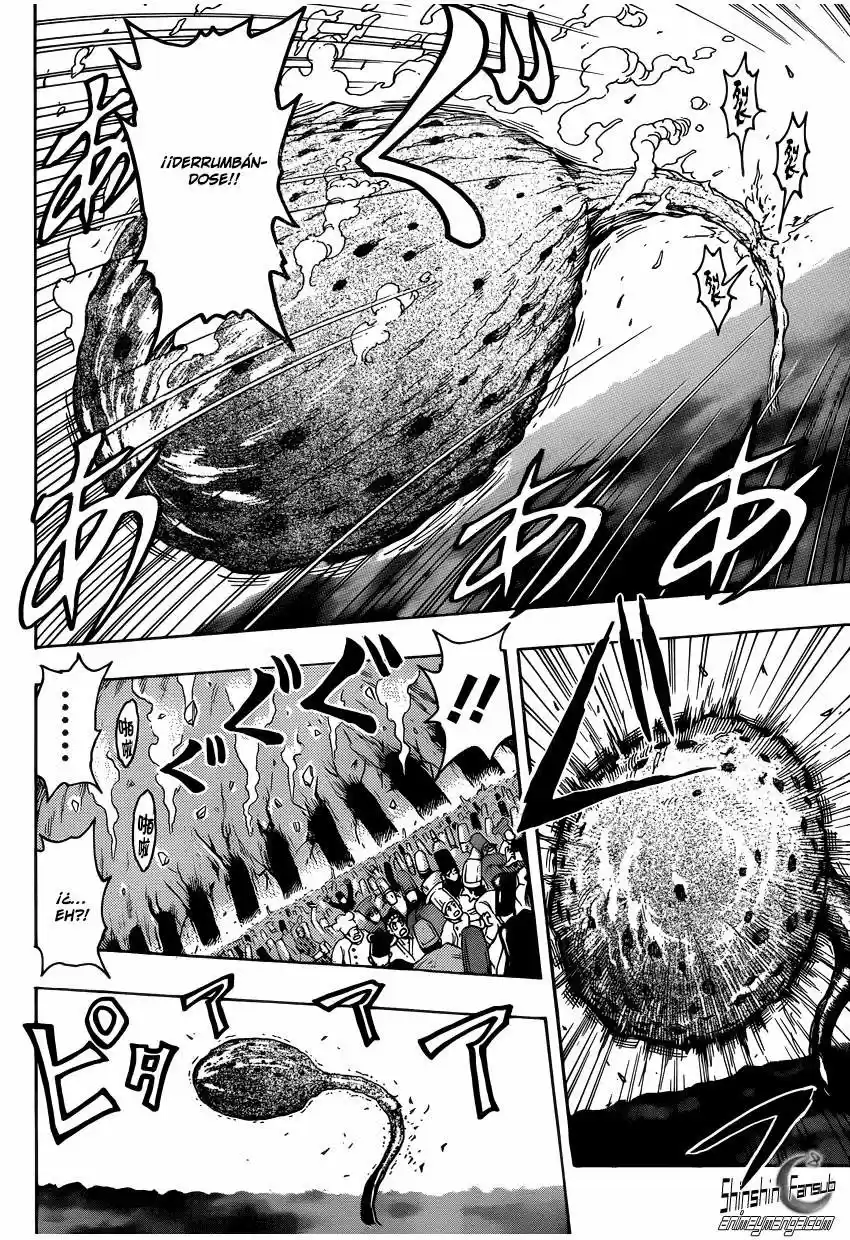 Toriko (2008) - Capítulo 262 - Página 15 - LectorTMOo