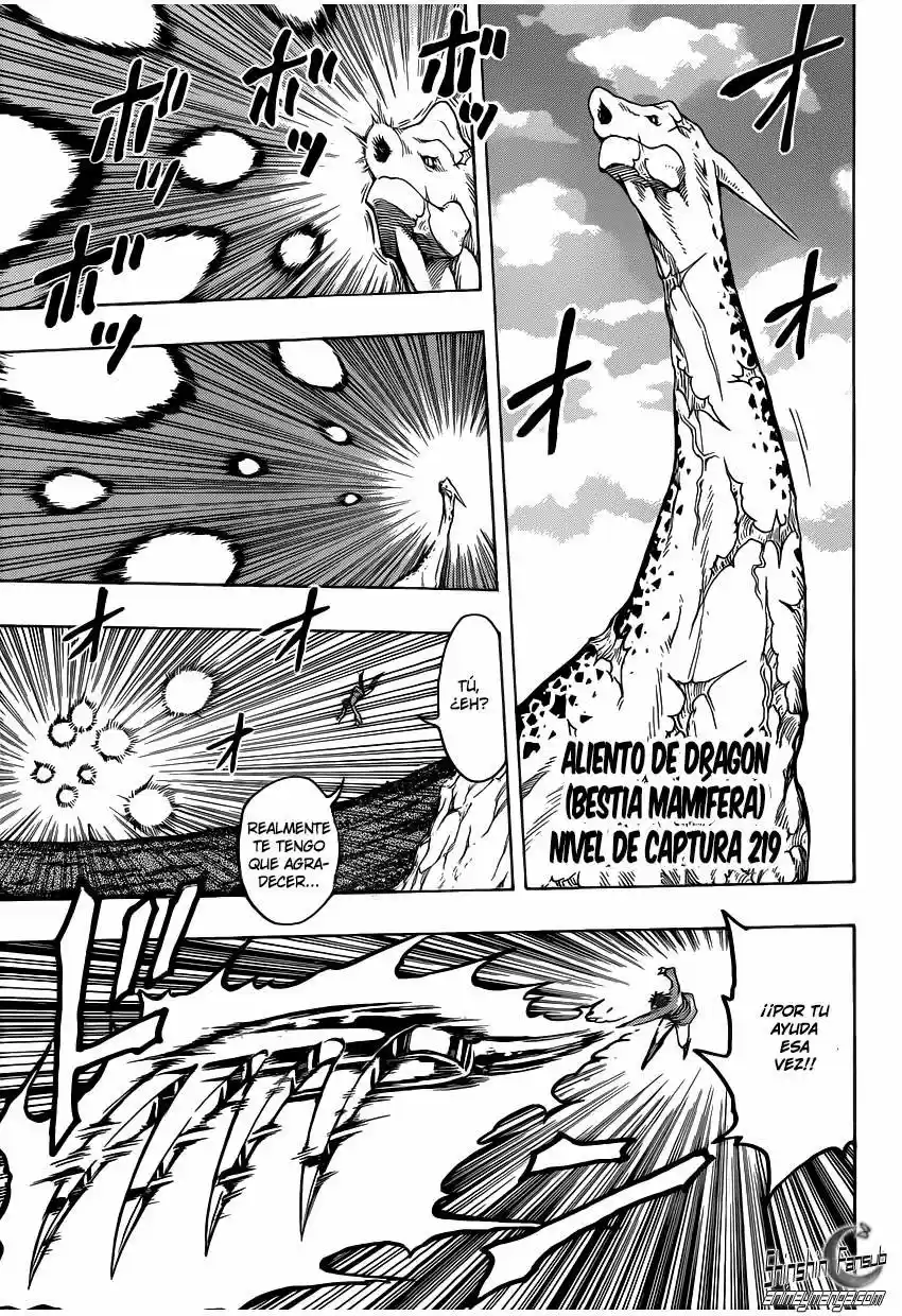 Toriko (2008) - Capítulo 263 - Página 16 - LectorTMOo