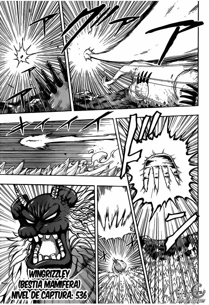 Toriko (2008) - Capítulo 263 - Página 18 - LectorTMOo