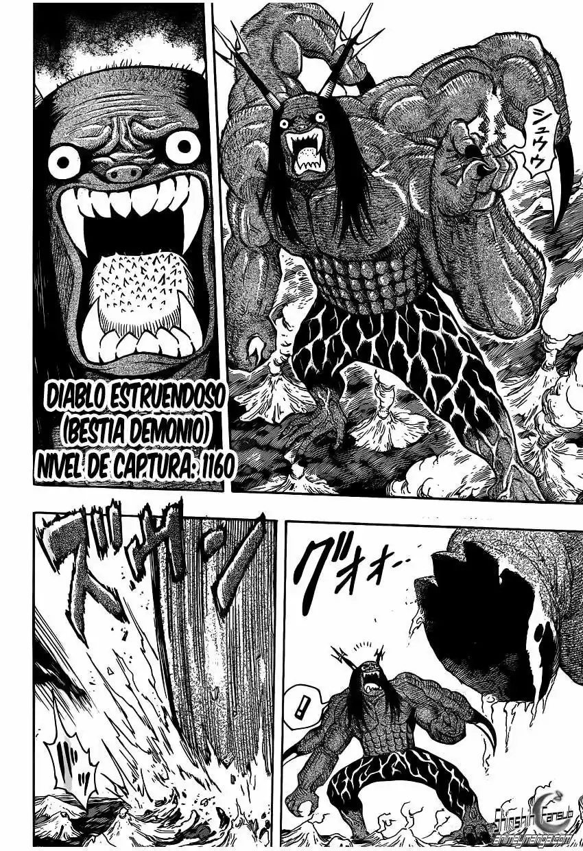 Toriko (2008) - Capítulo 263 - Página 21 - LectorTMOo