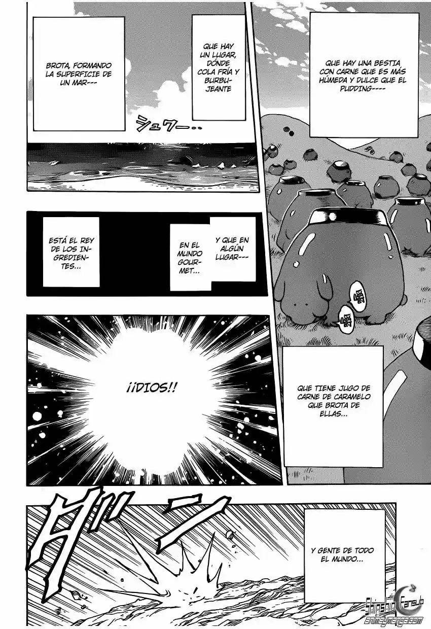 Toriko (2008) - Capítulo 263 - Página 25 - LectorTMOo