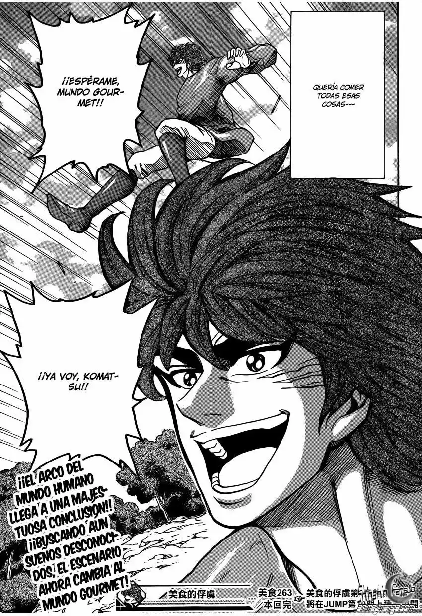 Toriko (2008) - Capítulo 263 - Página 26 - LectorTMOo