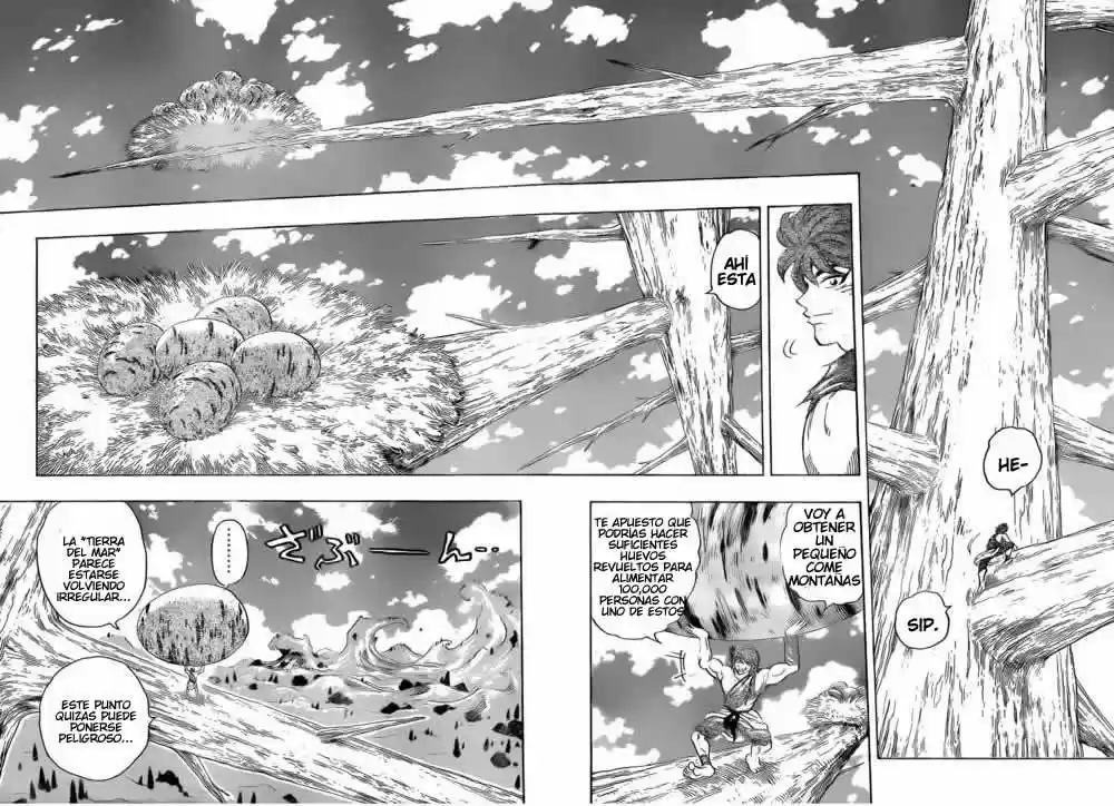 Toriko (2008) - Capítulo 264 - Página 11 - LectorTMOo