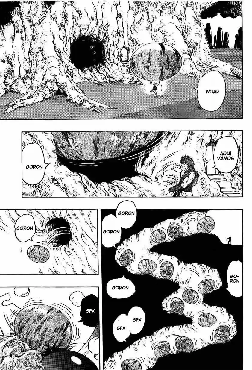 Toriko (2008) - Capítulo 264 - Página 13 - LectorTMOo