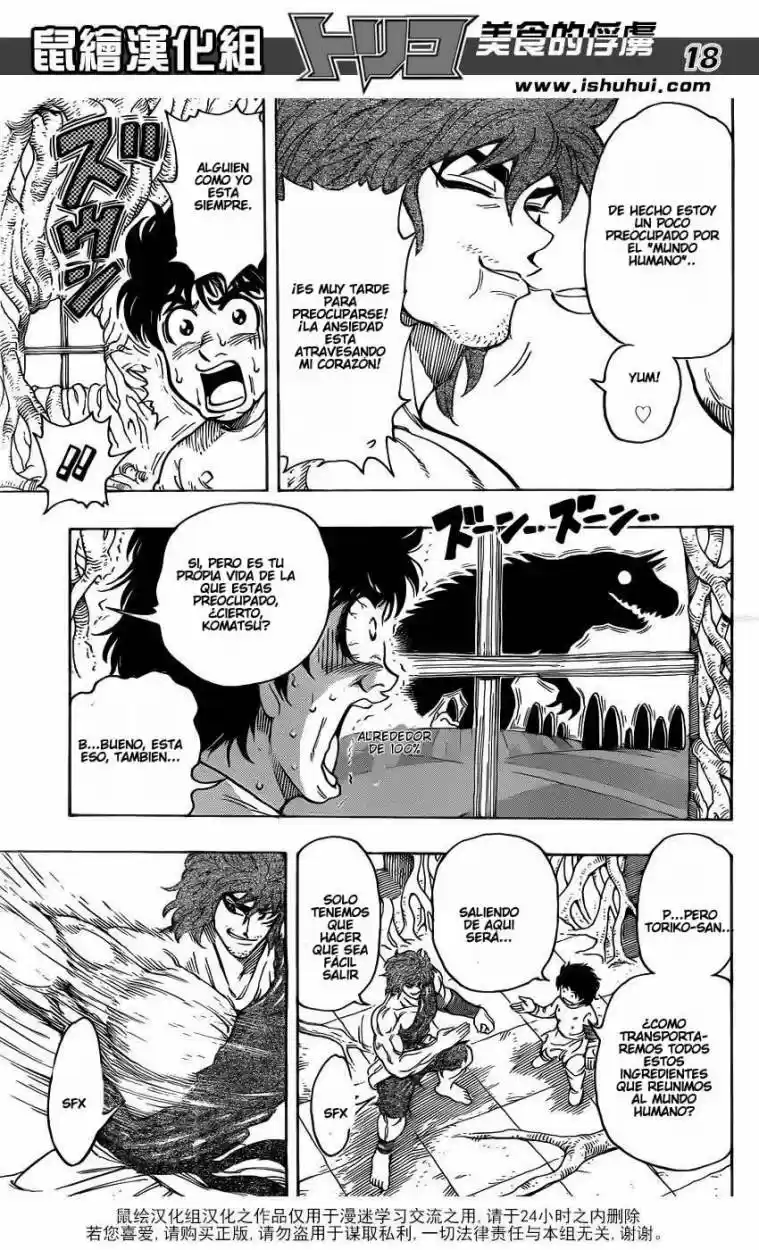 Toriko (2008) - Capítulo 264 - Página 17 - LectorTMOo