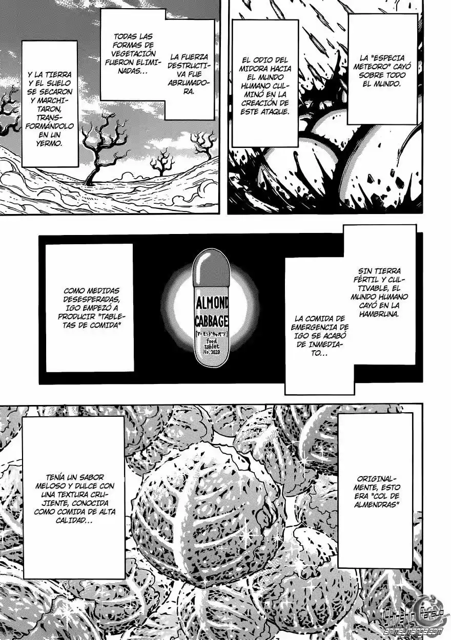 Toriko (2008) - Capítulo 265 - Página 6 - LectorTMOo