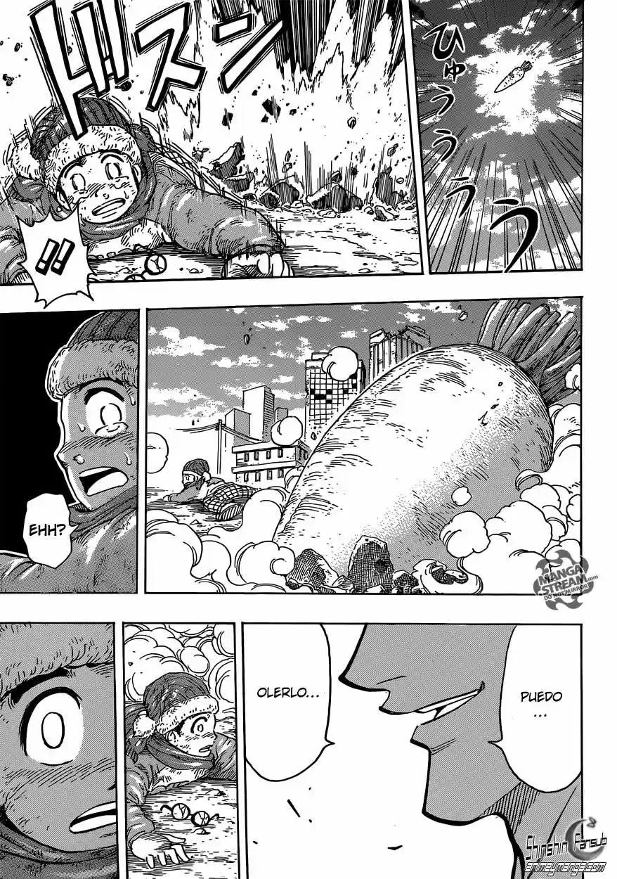 Toriko (2008) - Capítulo 265 - Página 14 - LectorTMOo