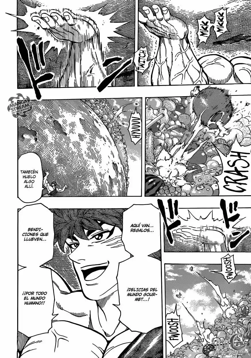 Toriko (2008) - Capítulo 265 - Página 17 - LectorTMOo