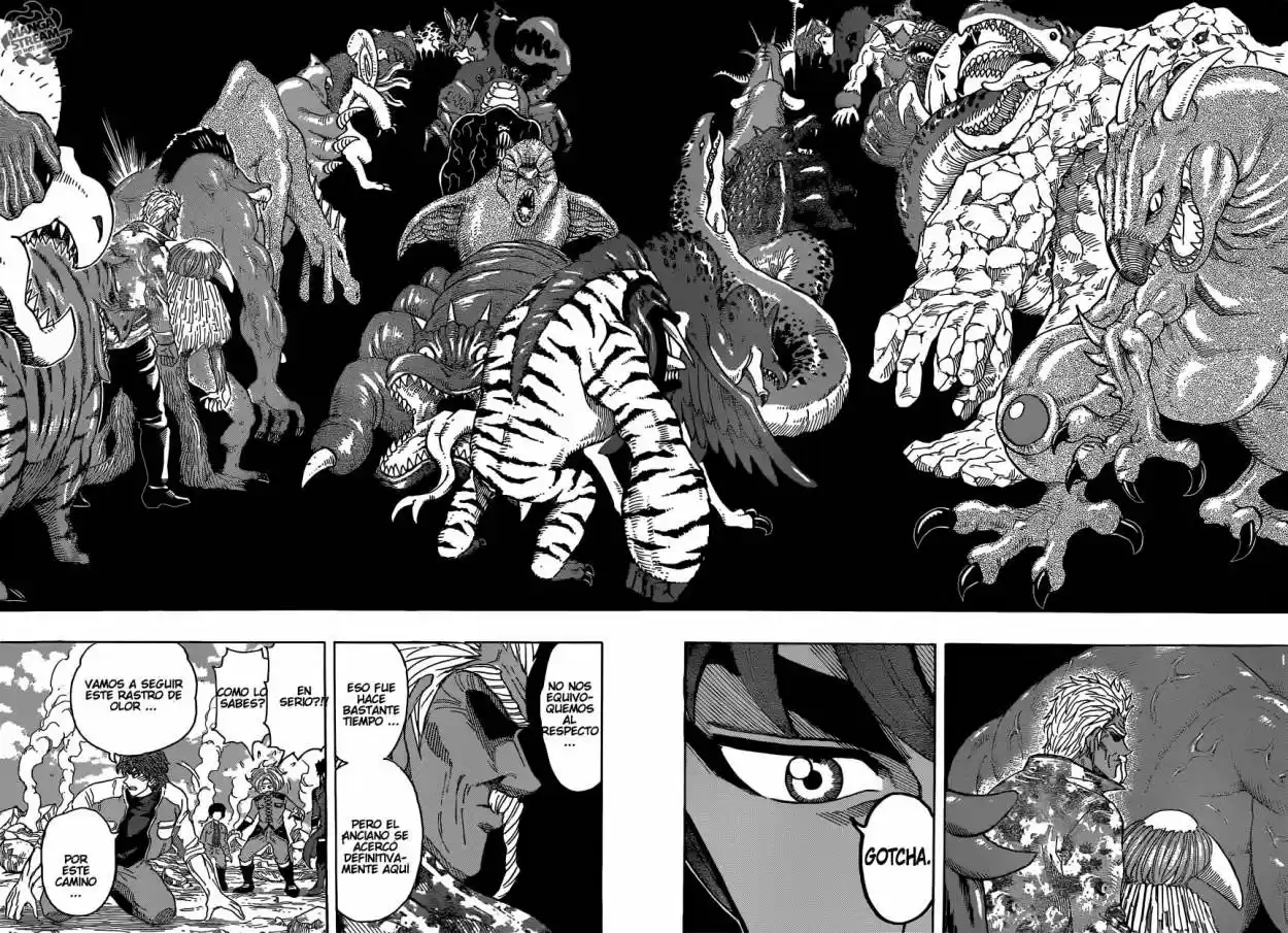 Toriko (2008) - Capítulo 266 - Página 12 - LectorTMOo