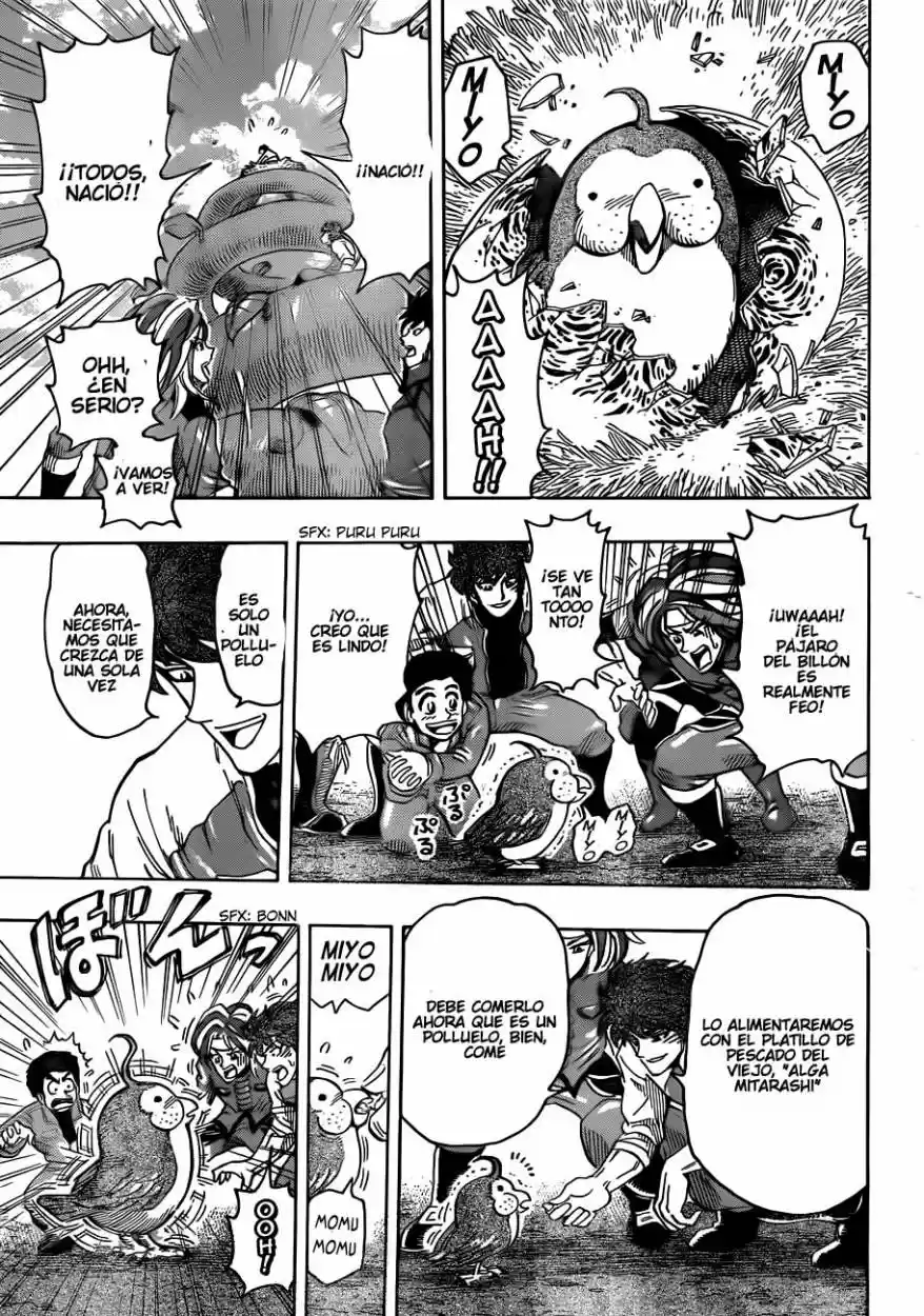Toriko (2008) - Capítulo 267 - Página 16 - LectorTMOo