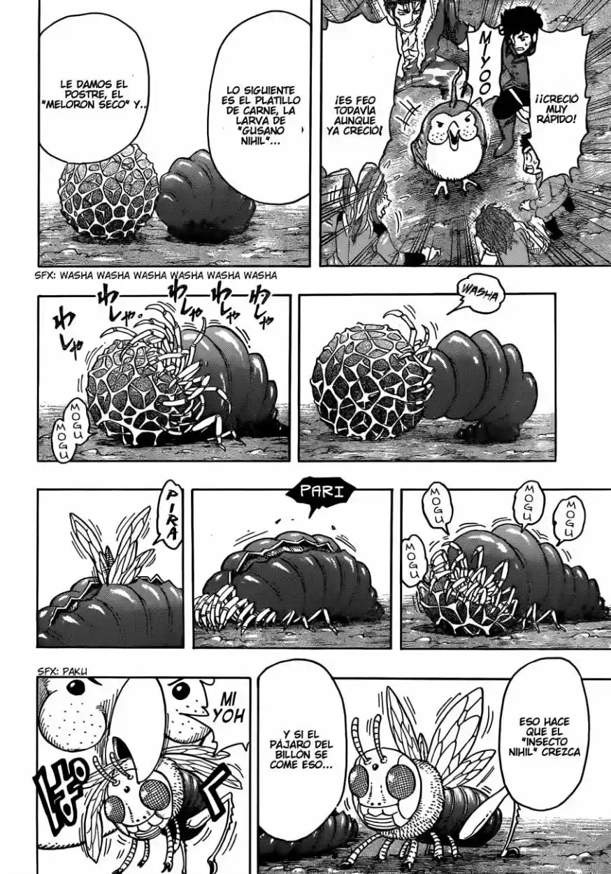 Toriko (2008) - Capítulo 267 - Página 17 - LectorTMOo