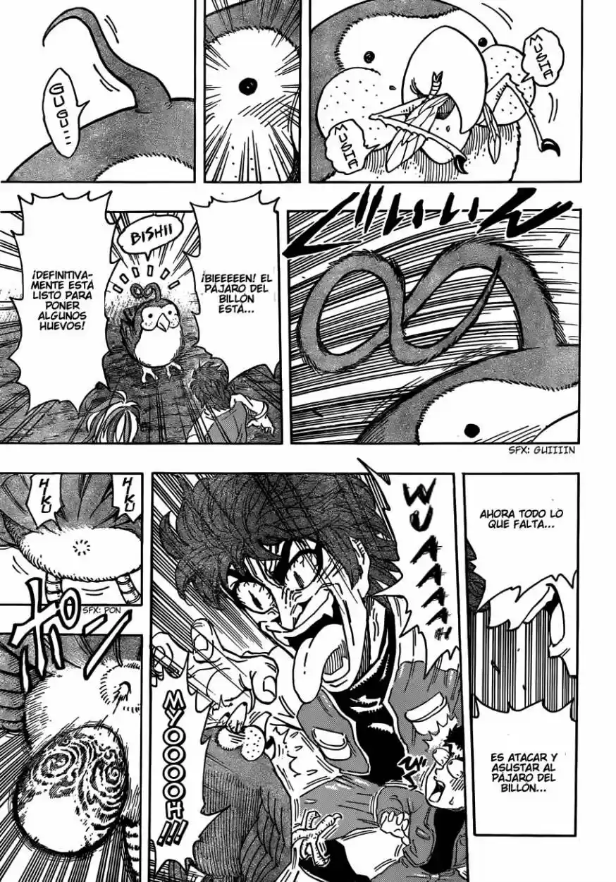 Toriko (2008) - Capítulo 267 - Página 18 - LectorTMOo