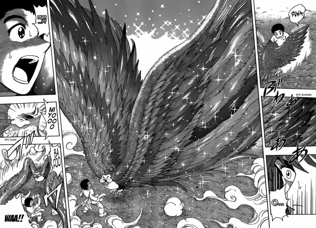 Toriko (2008) - Capítulo 268 - Página 9 - LectorTMOo