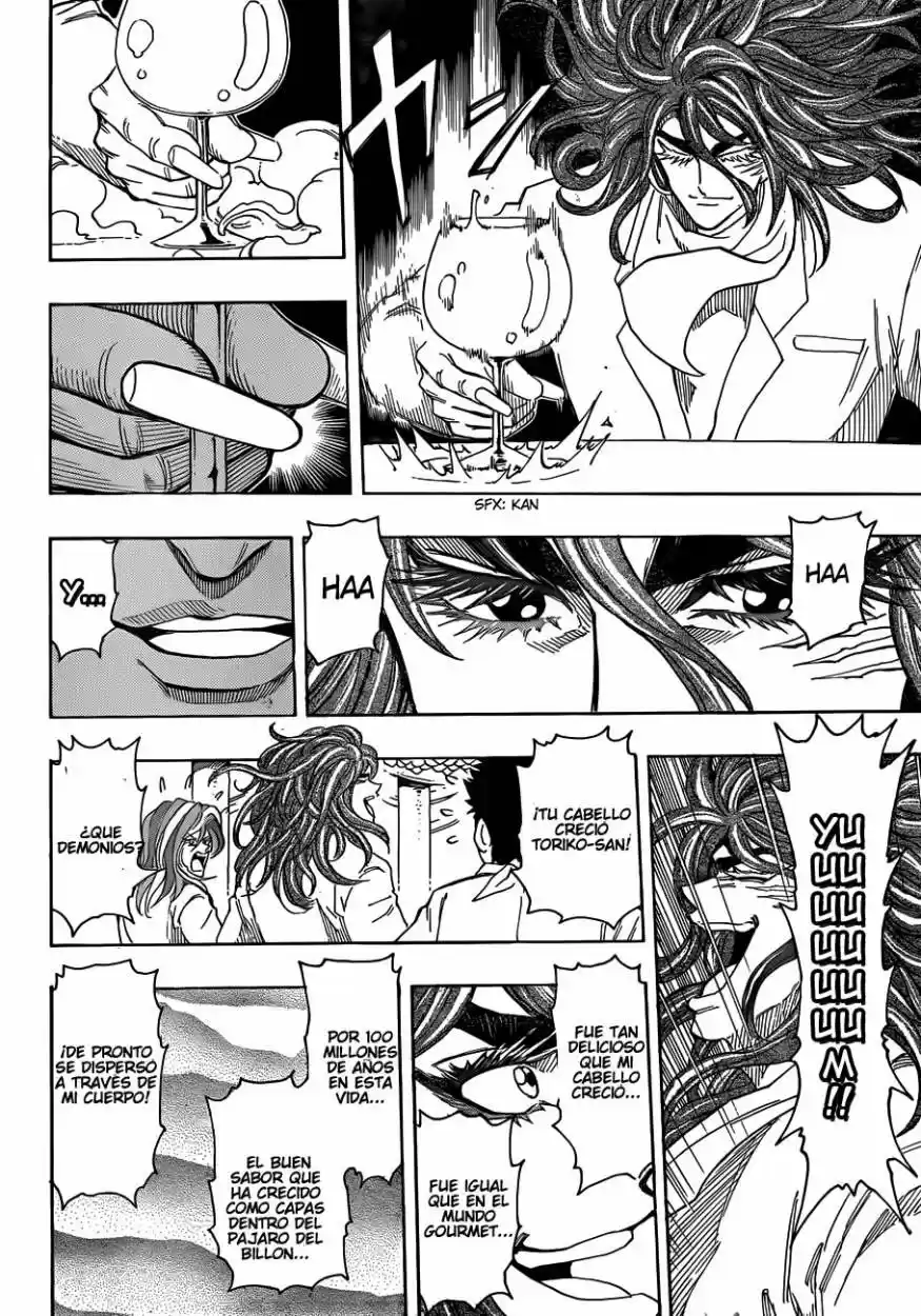 Toriko (2008) - Capítulo 268 - Página 16 - LectorTMOo