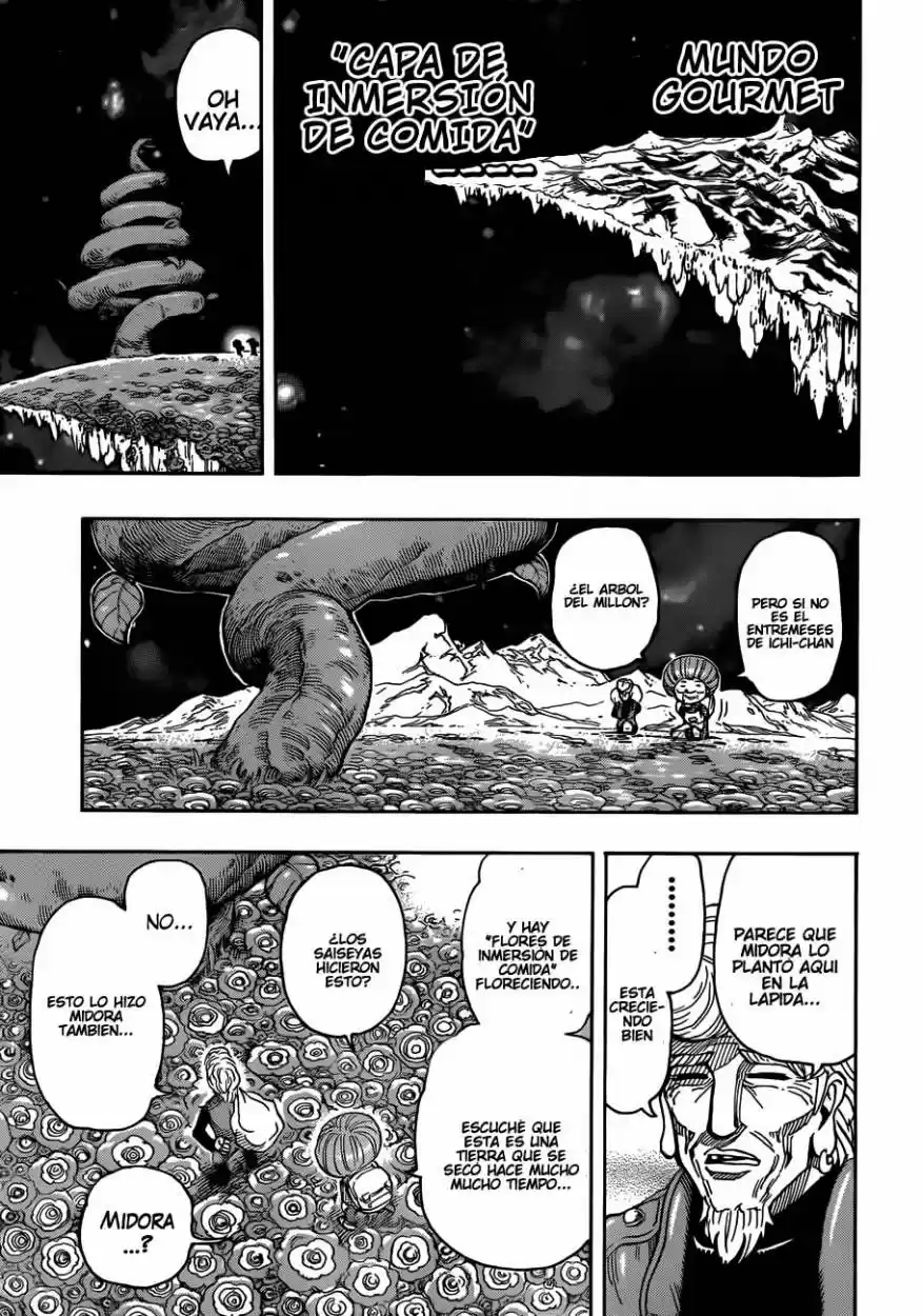 Toriko (2008) - Capítulo 269 - Página 14 - LectorTMOo