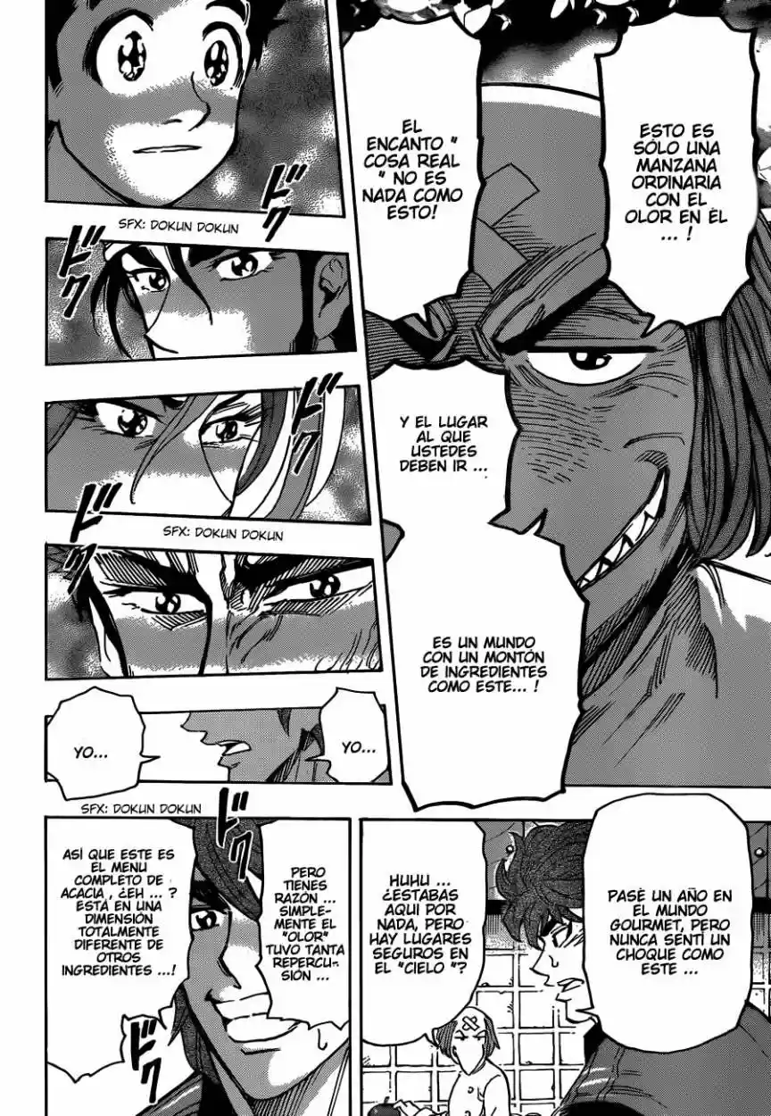 Toriko (2008) - Capítulo 271 - Página 15 - LectorTMOo