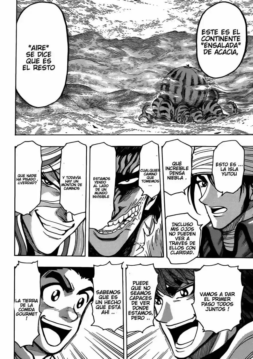 Toriko (2008) - Capítulo 273 - Página 18 - LectorTMOo