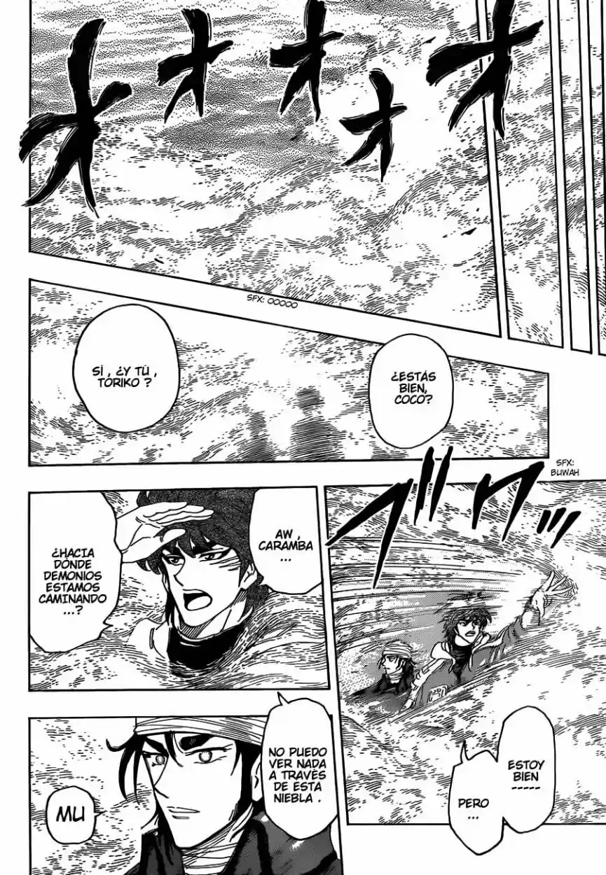 Toriko (2008) - Capítulo 274 - Página 15 - LectorTMOo