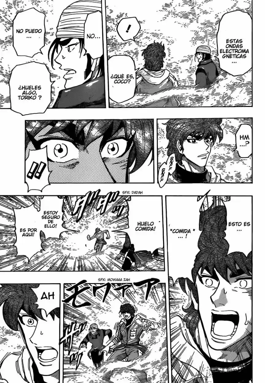Toriko (2008) - Capítulo 274 - Página 16 - LectorTMOo