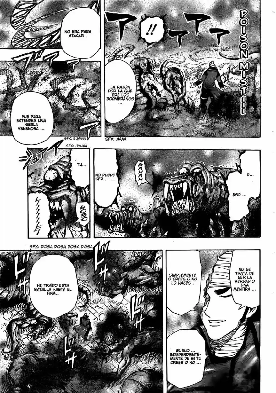 Toriko (2008) - Capítulo 275 - Página 17 - LectorTMOo