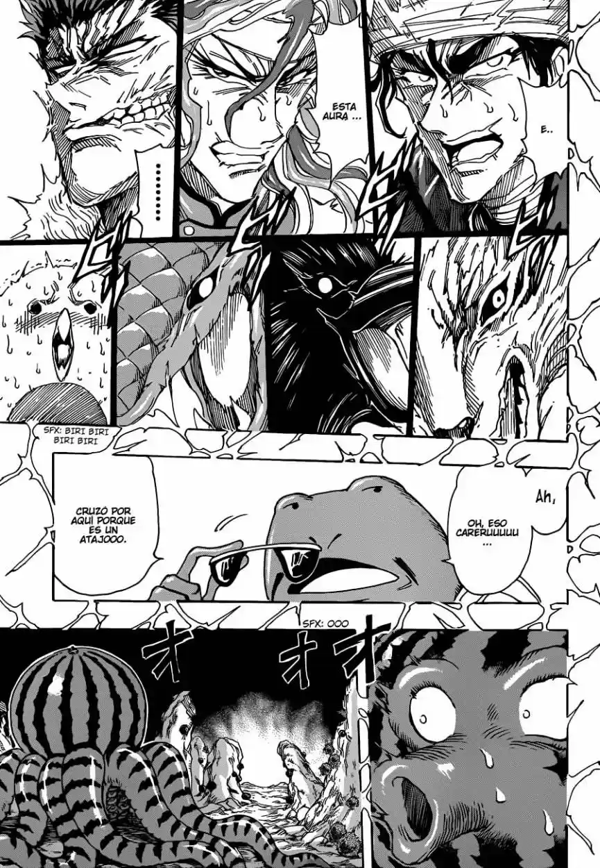Toriko (2008) - Capítulo 277 - Página 10 - LectorTMOo