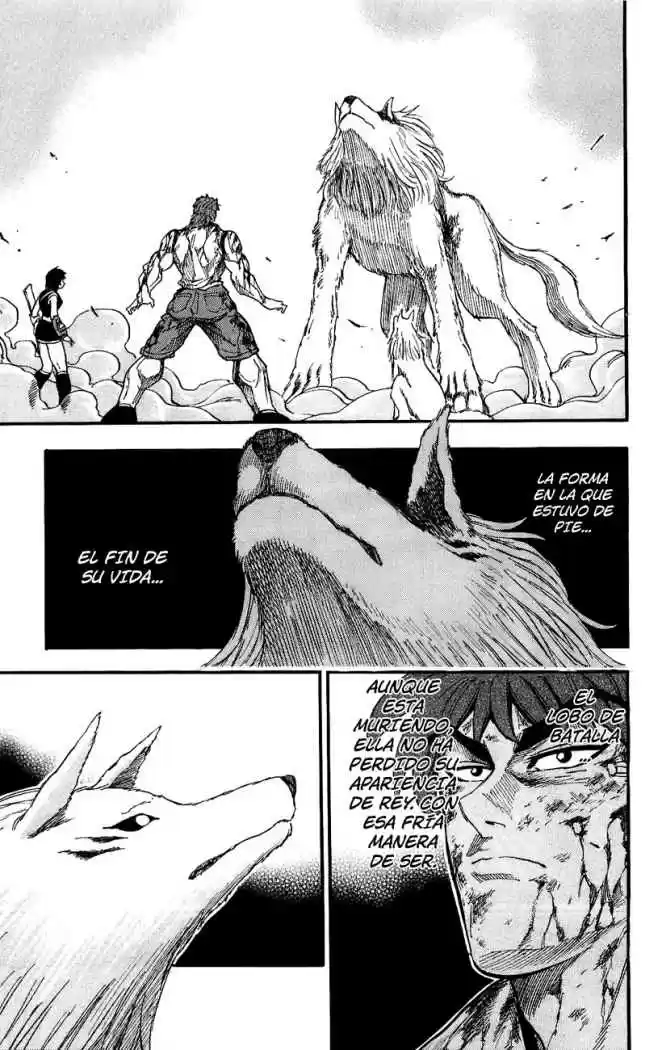 Toriko (2008) - Capítulo 28 - Página 12 - LectorTMOo