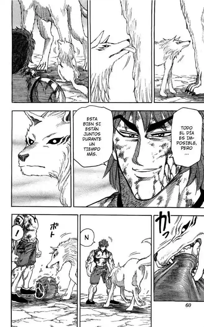 Toriko (2008) - Capítulo 28 - Página 13 - LectorTMOo