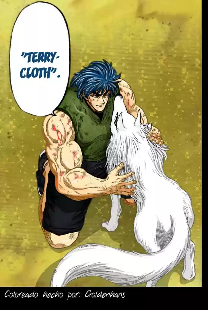 Toriko (2008) - Capítulo 28 - Página 19 - LectorTMOo