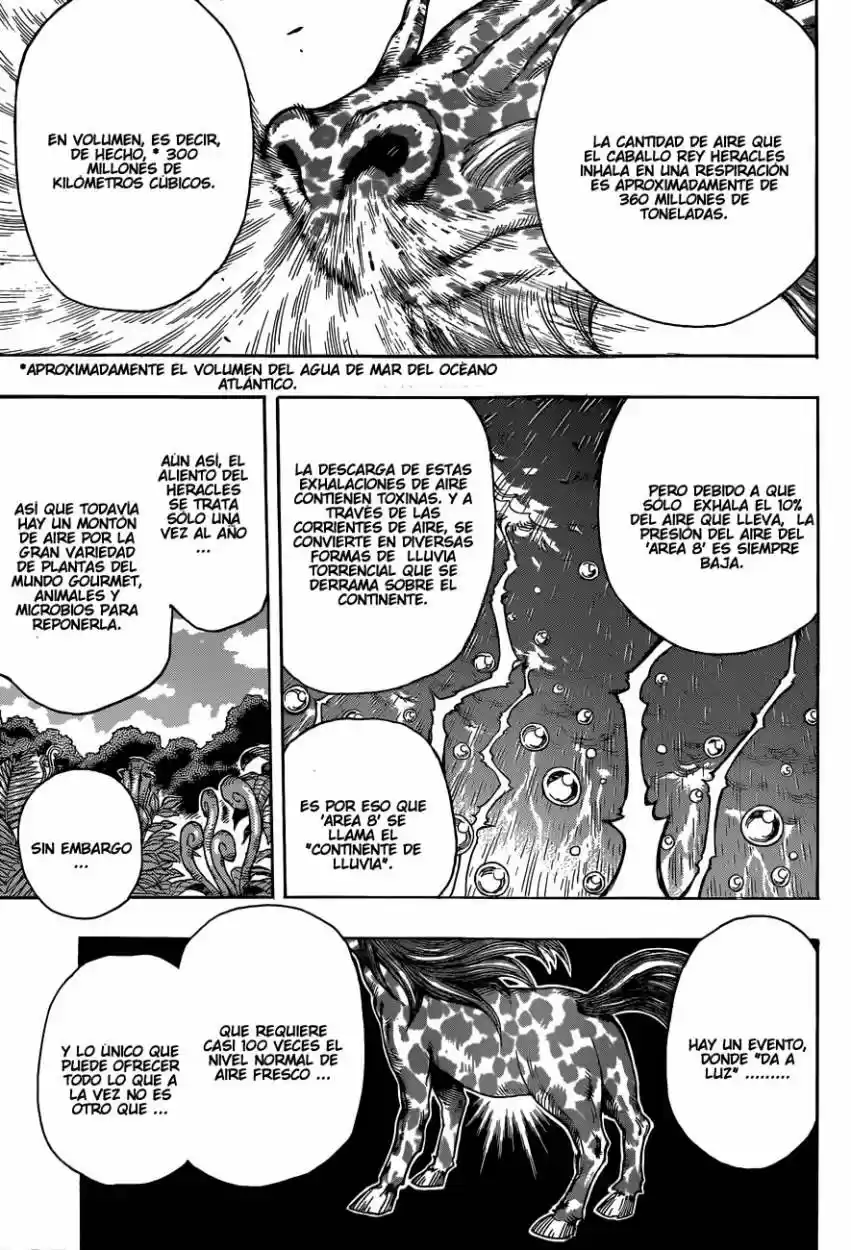 Toriko (2008) - Capítulo 283 - Página 12 - LectorTMOo