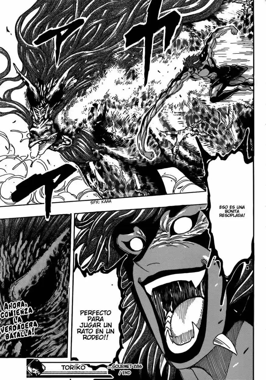 Toriko (2008) - Capítulo 286 - Página 18 - LectorTMOo