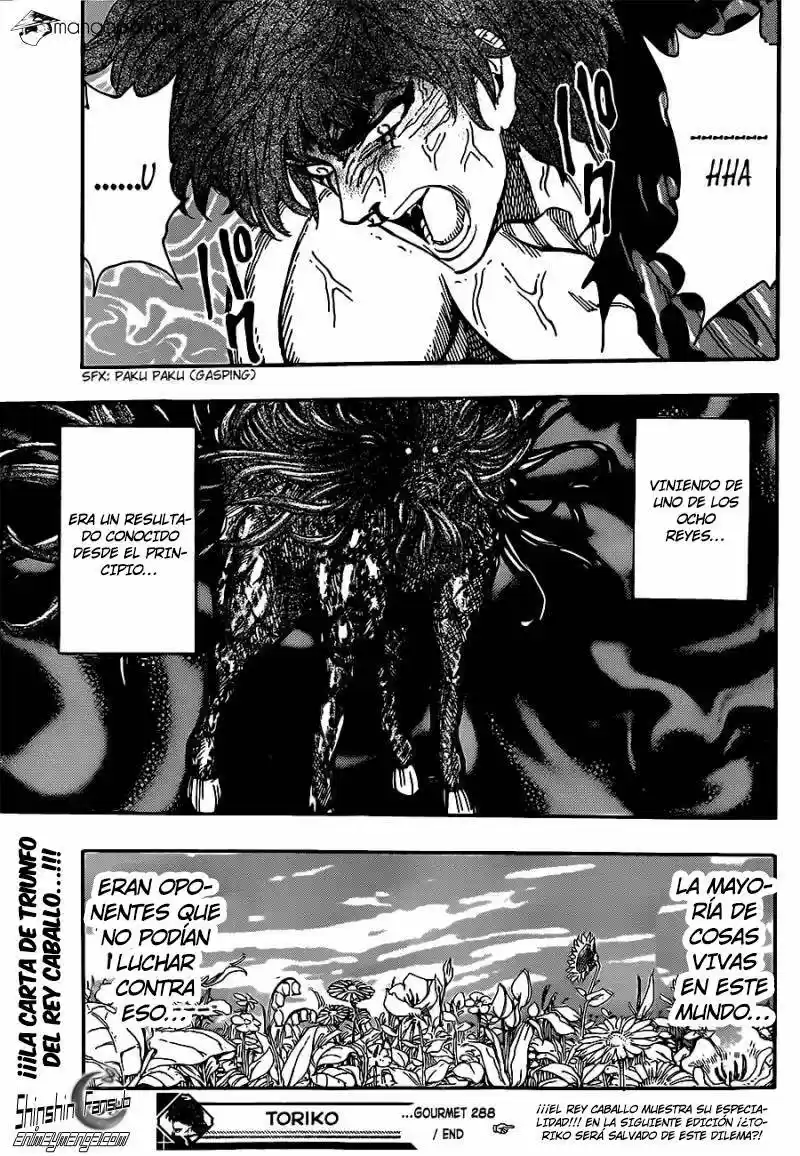 Toriko (2008) - Capítulo 288 - Página 19 - LectorTMOo