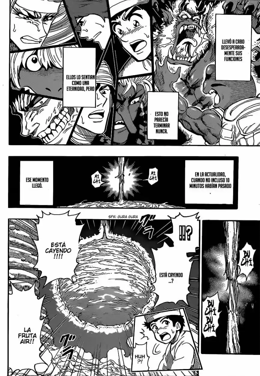 Toriko (2008) - Capítulo 289 - Página 14 - LectorTMOo