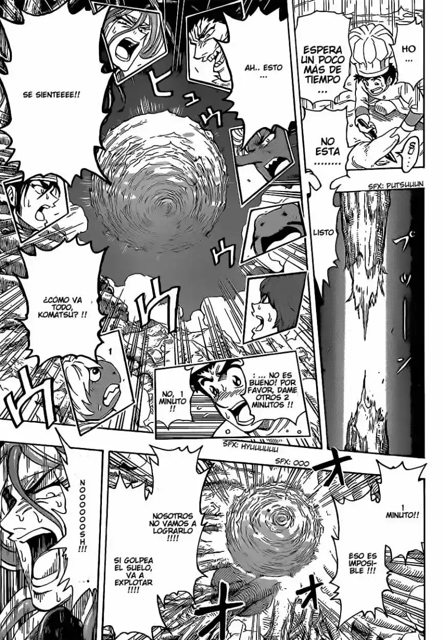 Toriko (2008) - Capítulo 289 - Página 15 - LectorTMOo