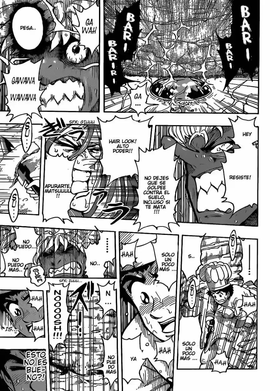 Toriko (2008) - Capítulo 289 - Página 17 - LectorTMOo