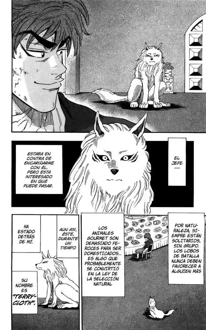 Toriko (2008) - Capítulo 29 - Página 5 - LectorTMOo
