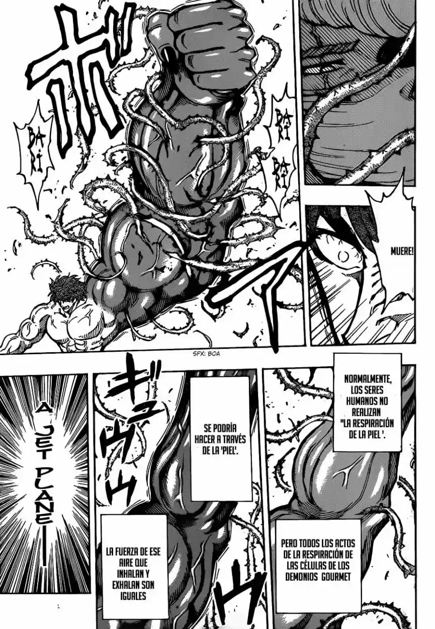 Toriko (2008) - Capítulo 294 - Página 10 - LectorTMOo