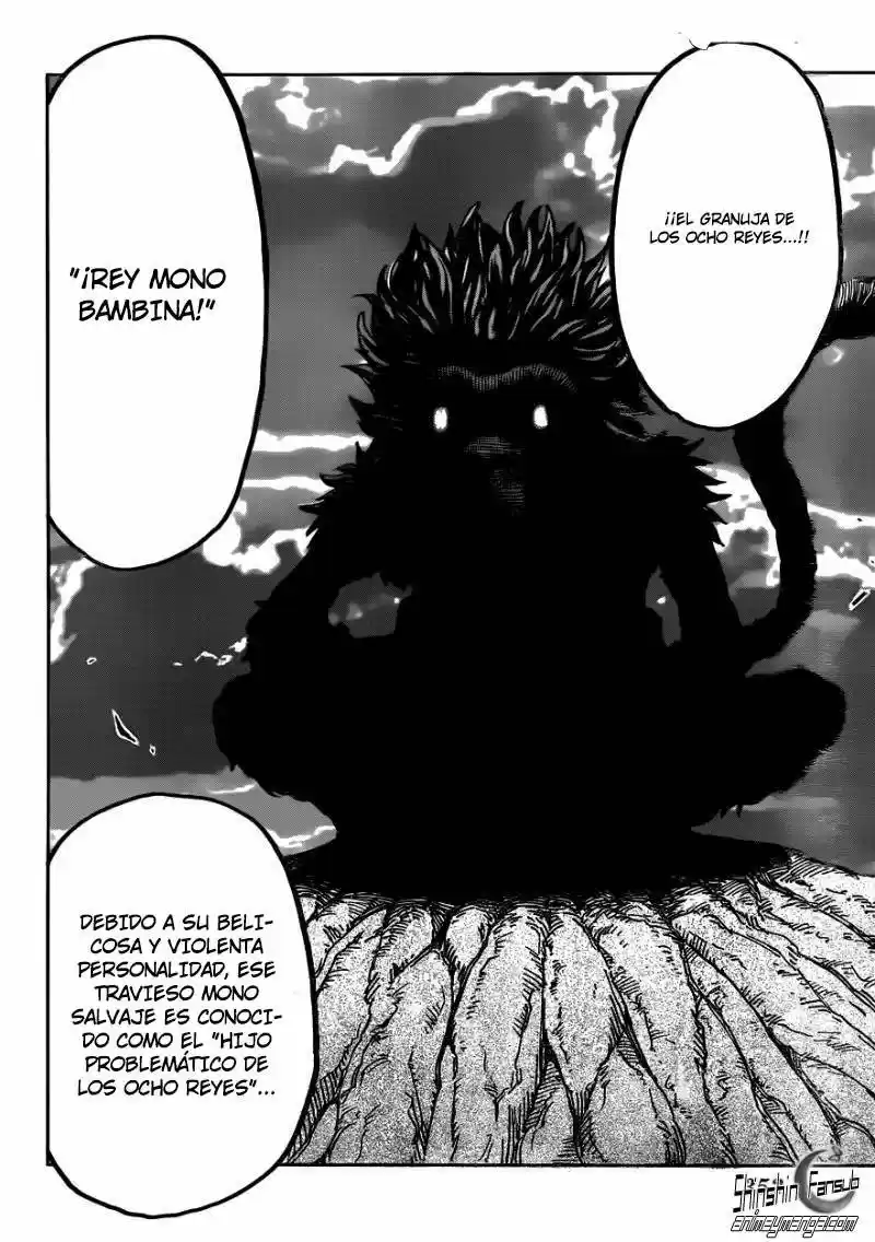 Toriko (2008) - Capítulo 295 - Página 11 - LectorTMOo