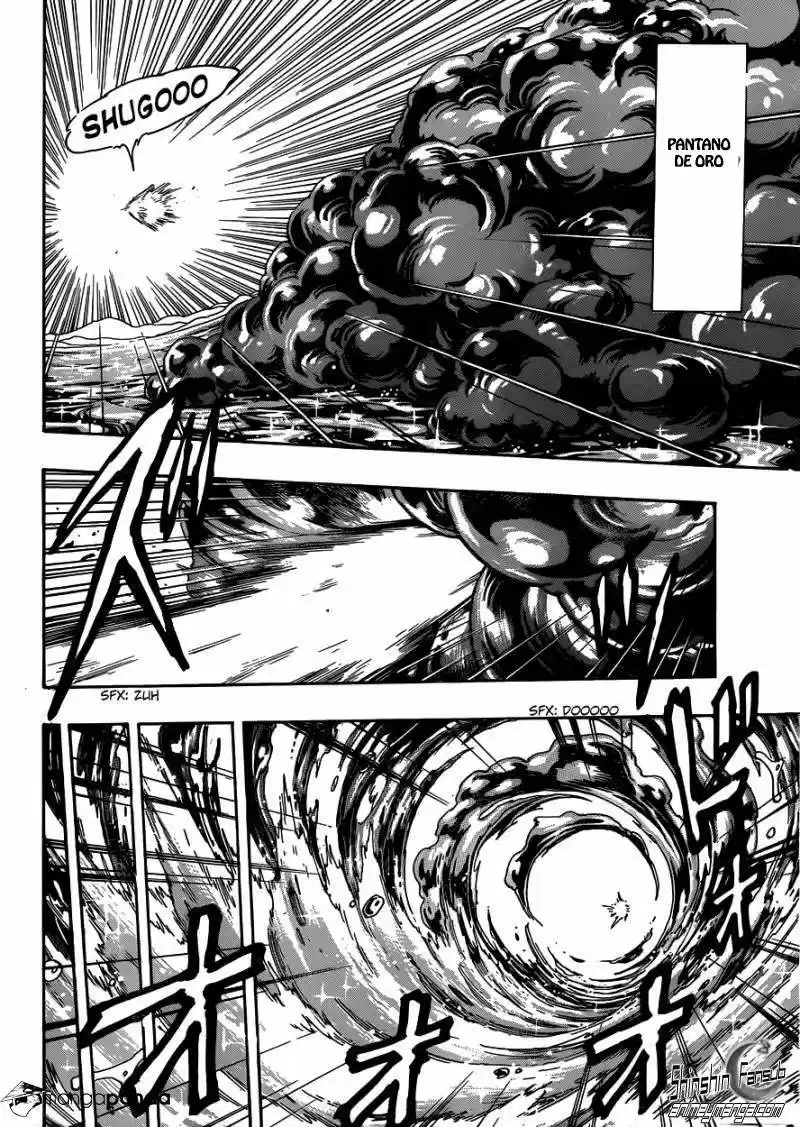 Toriko (2008) - Capítulo 295 - Página 17 - LectorTMOo