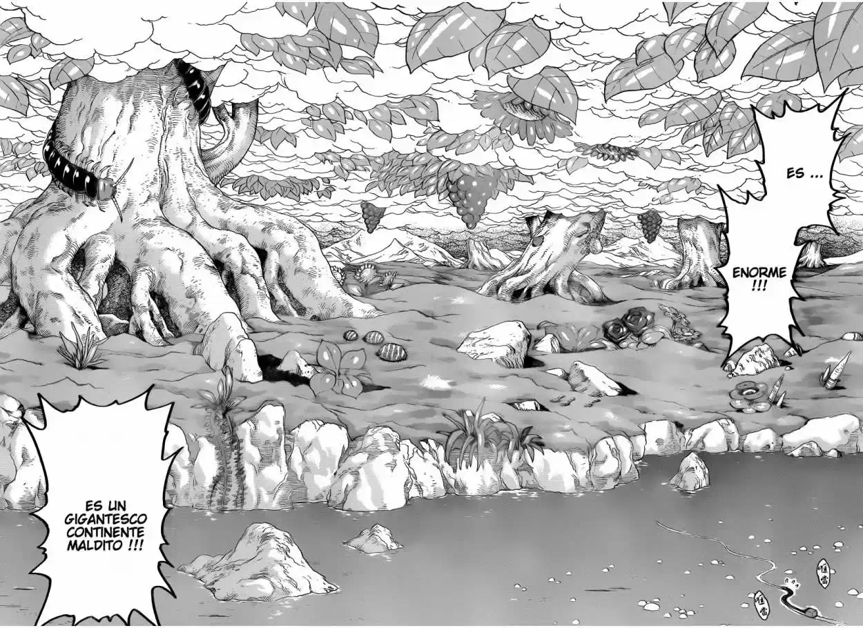 Toriko (2008) - Capítulo 296 - Página 8 - LectorTMOo