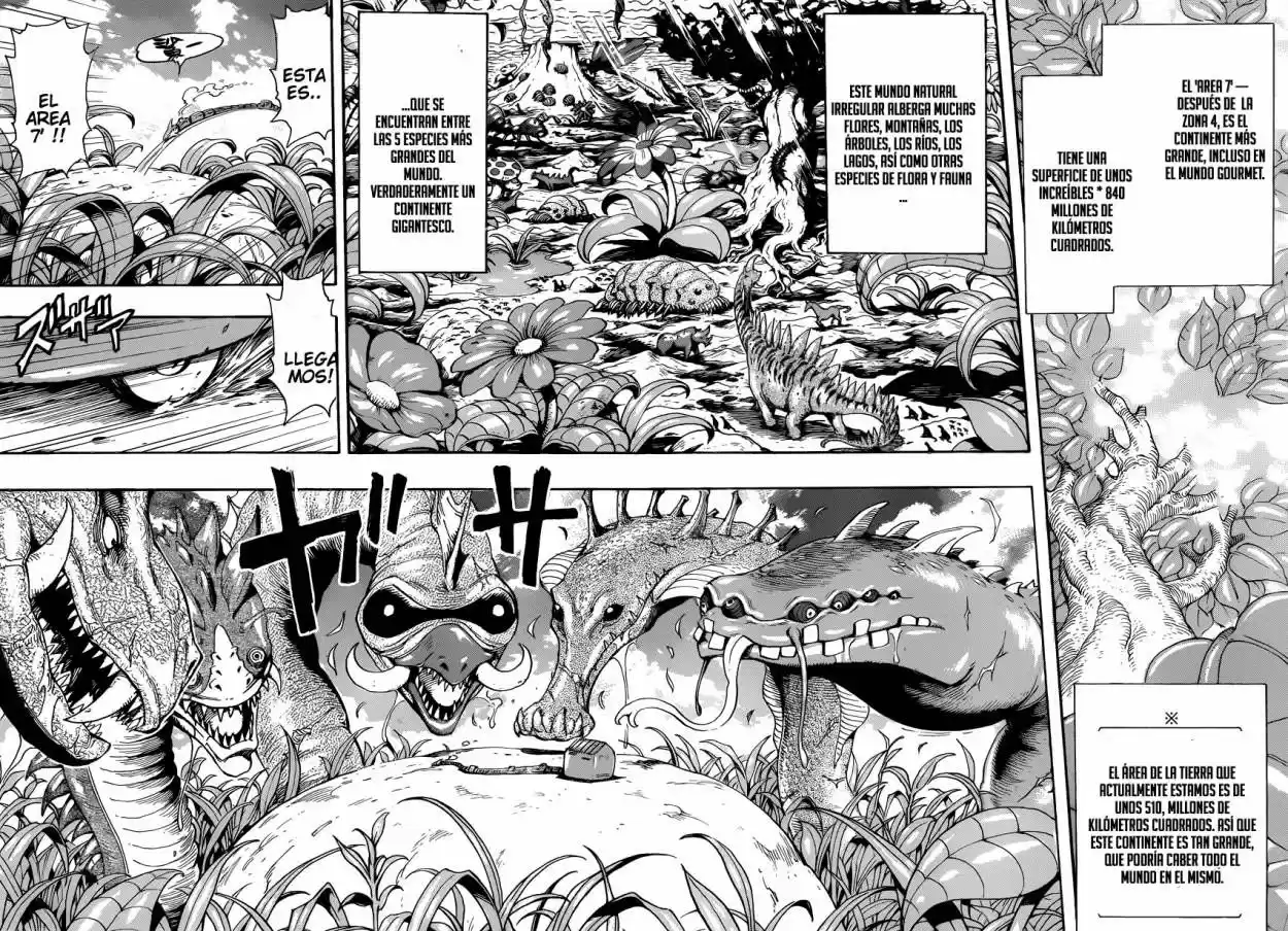 Toriko (2008) - Capítulo 296 - Página 9 - LectorTMOo