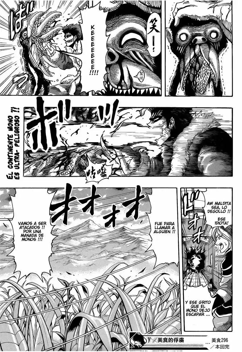 Toriko (2008) - Capítulo 296 - Página 17 - LectorTMOo