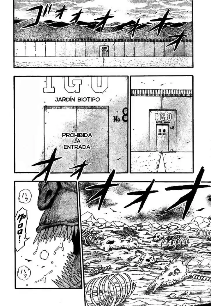 Toriko (2008) - Capítulo 3 - Página 19 - LectorTMOo