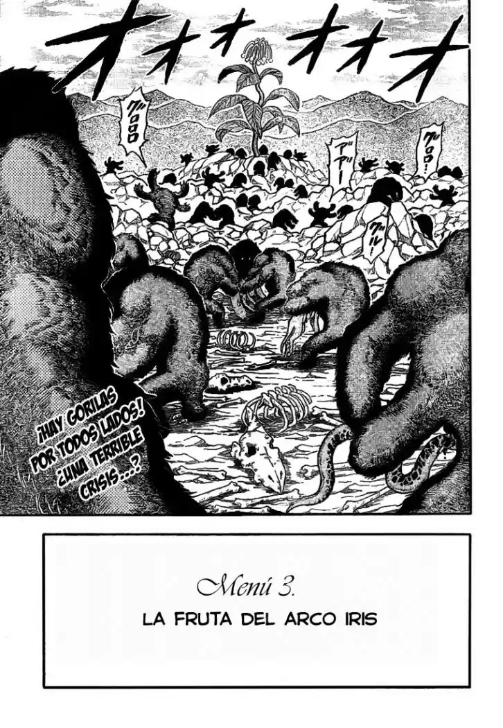 Toriko (2008) - Capítulo 3 - Página 20 - LectorTMOo