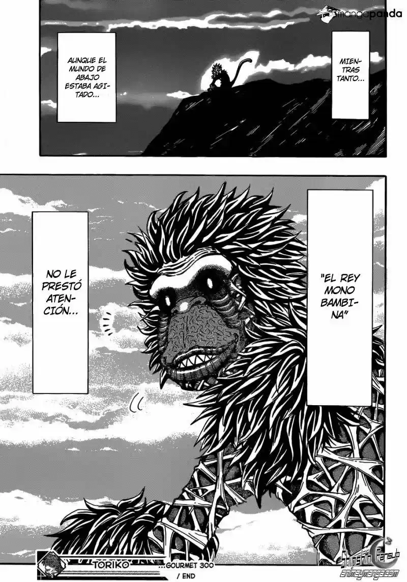 Toriko (2008) - Capítulo 300 - Página 20 - LectorTMOo