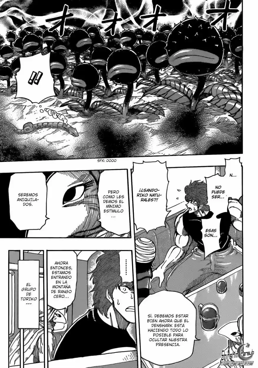 Toriko (2008) - Capítulo 302 - Página 9 - LectorTMOo